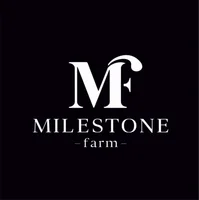 MF